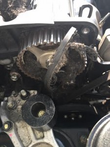 Shredded/ broken timing belt