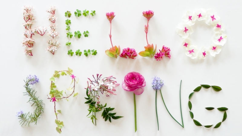 Spring is coming! March NEWSLETTER is here.