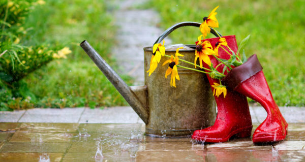 Spring maintenance, coupons and giggles inside!